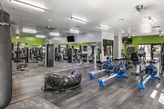 The Laurels in Gainesville, FL - Foto de edificio - Building Photo