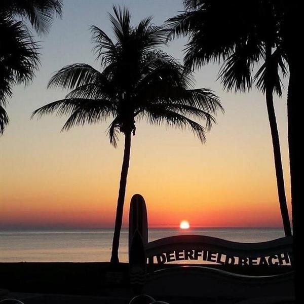 1537 E Hillsboro Blvd in Deerfield Beach, FL - Foto de edificio - Building Photo