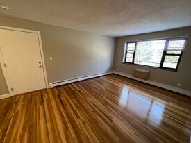 266 Grove St in Auburndale, MA - Building Photo