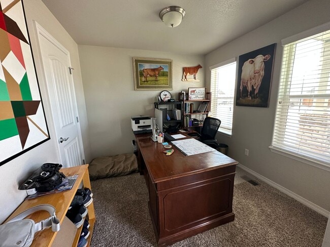 6743 Phantom Way in Colorado Springs, CO - Building Photo - Building Photo