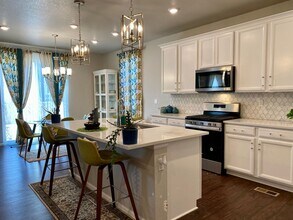 497 White Sand Trl in Castle Rock, CO - Building Photo - Building Photo
