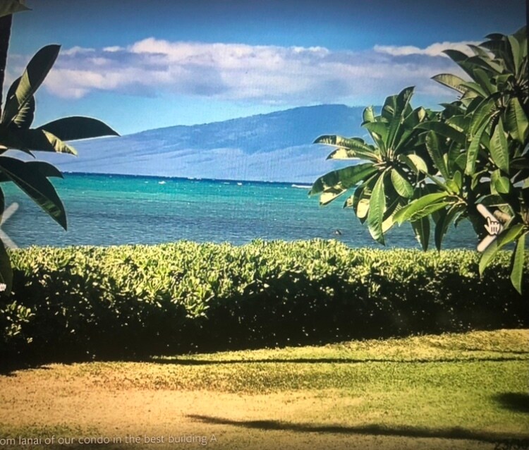 7142 Kamehameha V Hwy Photo