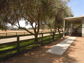 16757 Old Guejito Grade Rd in Escondido, CA - Building Photo - Building Photo