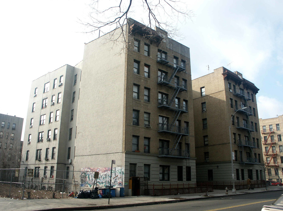 Botanical garden court in Bronx, NY - Building Photo