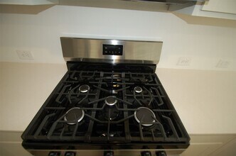 16219 Domestic Dove Wy in Hockley, TX - Building Photo - Building Photo