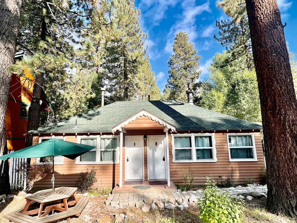 877 Tulip Ln-Unit -Timberhaven Lodge Unit 1 in Big Bear Lake, CA - Building Photo