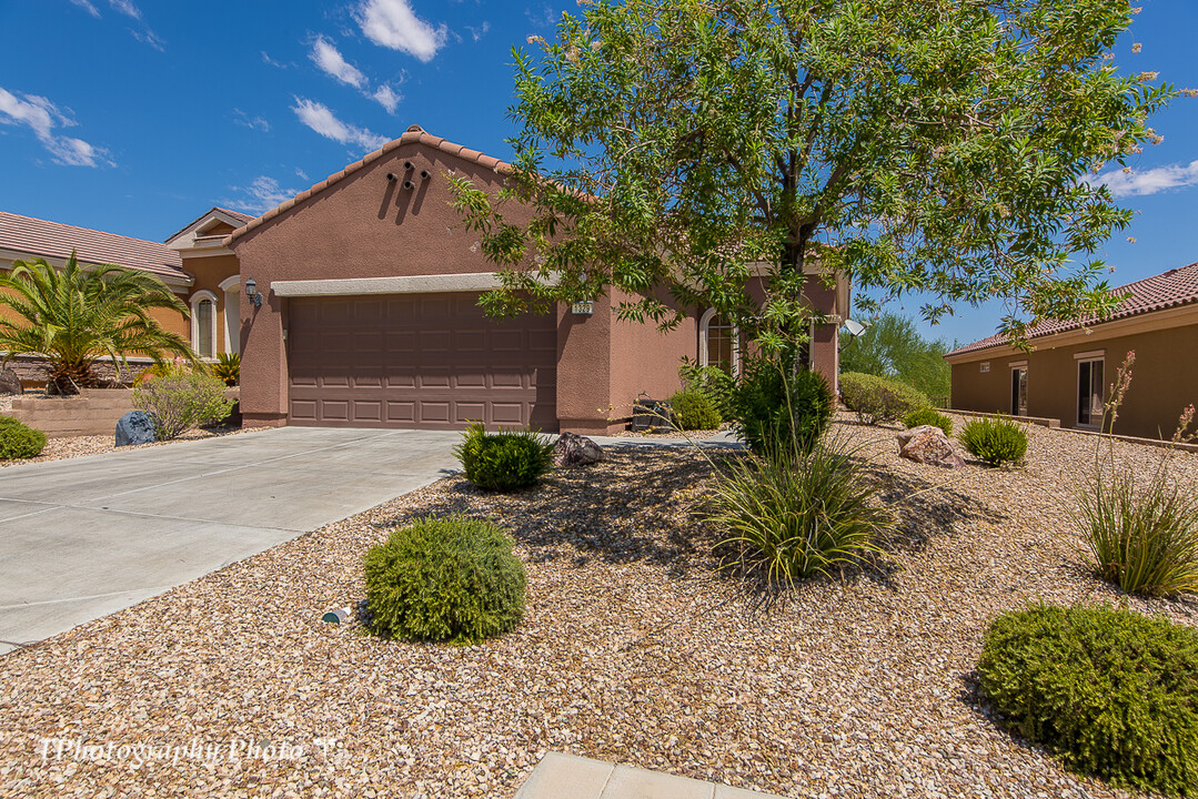 1329 Springdale Ln in Mesquite, NV - Building Photo