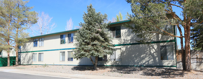 1500 Riley Ave in Reno, NV - Building Photo - Building Photo