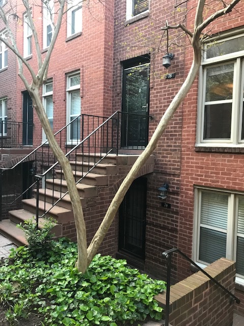 78 15th St NE in Washington, DC - Building Photo - Building Photo