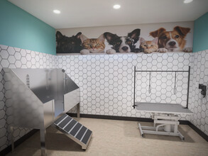 Argyle at Southridge in Kennewick, WA - Building Photo - Building Photo
