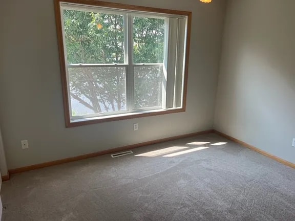 11498 Arnold Palmer Dr in Blaine, MN - Building Photo - Building Photo