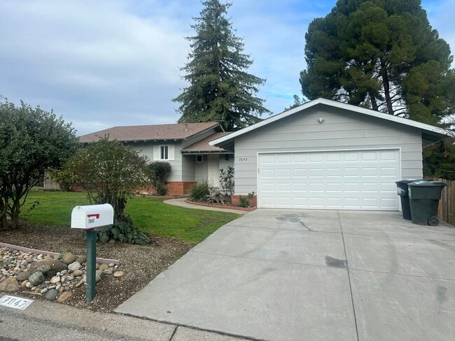 property at 7847 Olympic Way