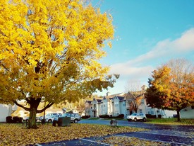 Willow Wood Apartment Homes