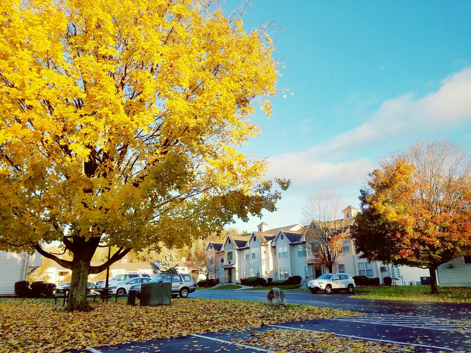 Willow Wood Apartment Homes in La Fayette, NY - Building Photo