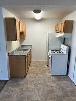 Presidential Plaza Apartments in Detroit, MI - Building Photo