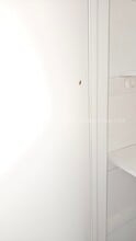 6063 Longchamp Dr in Jacksonville, FL - Foto de edificio - Building Photo