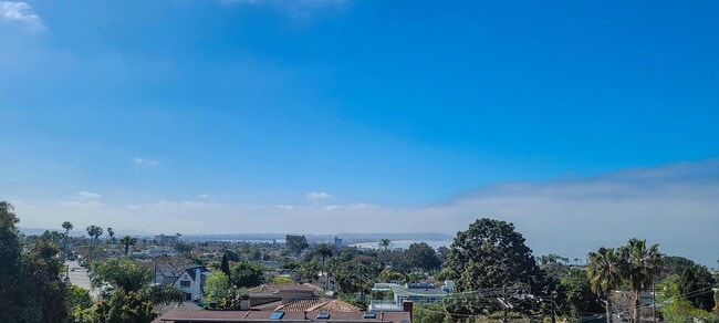 5643 Linda Rosa Ave in San Diego, CA - Building Photo - Building Photo
