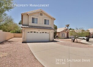2919 E Saltsage Dr in Phoenix, AZ - Building Photo - Building Photo