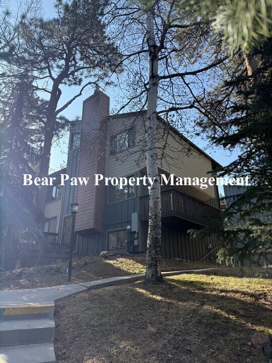 4902 Silver Spruce Ln in Evergreen, CO - Foto de edificio
