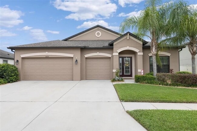 18620 Cortes Creek Blvd in Spring Hill, FL - Building Photo - Building Photo