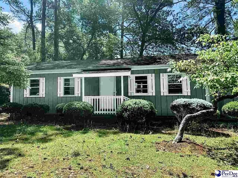 303 Gator Lake Ct in Dillon, SC - Building Photo