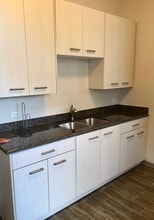 929 S Laflin St in Chicago, IL - Foto de edificio - Building Photo