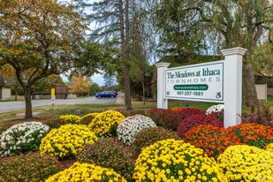 The Meadows at Ithaca Townhomes in Ithaca, NY - Building Photo
