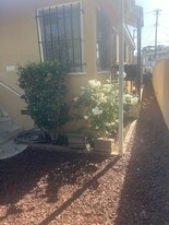 2575 S Barrington Ave in Los Angeles, CA - Building Photo