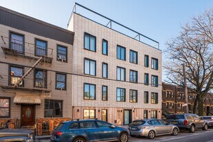 144 Freeman St in Brooklyn, NY - Building Photo