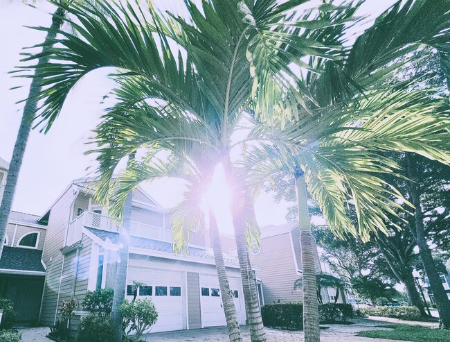 property at 5305 Buckhead Cir