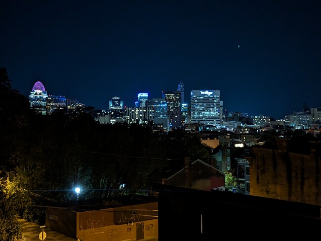 141 Mulberry St in Cincinnati, OH - Foto de edificio - Building Photo