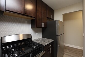 533 W Surf St in Chicago, IL - Building Photo - Building Photo