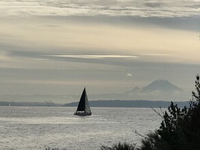 15116 Sunrise Dr NE, Unit WATER VIEW BEACH ACCESS in Bainbridge Island, WA - Building Photo - Building Photo