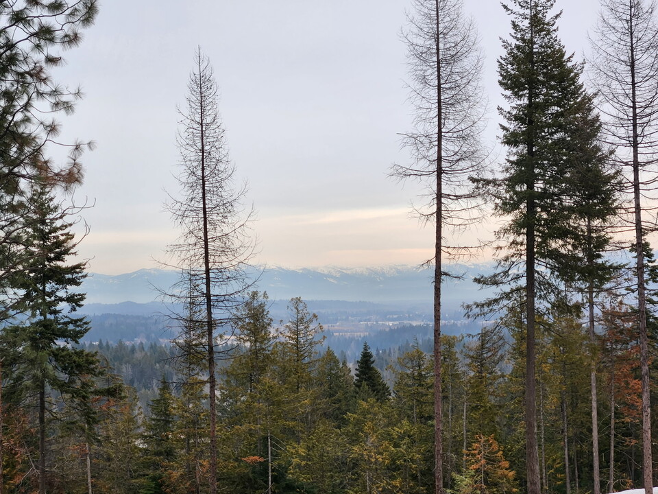 304 Sasquatch Trl in Sandpoint, ID - Foto de edificio