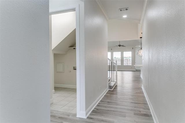 523 Paddock Way in Irving, TX - Building Photo - Building Photo