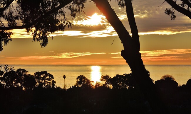 Channel View Apartments