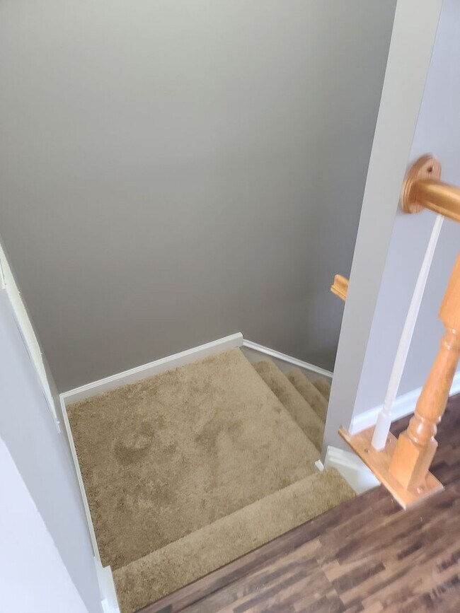 369 Viewpoint Way in Waynesboro, PA - Building Photo - Building Photo