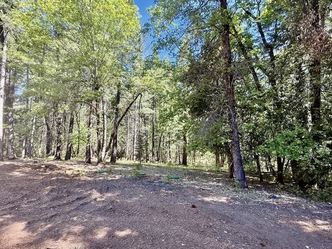 18160 Blue Tent School Rd in Nevada City, CA - Building Photo - Building Photo
