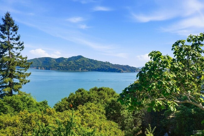 172 Bella Vista Ave in Belvedere, CA - Foto de edificio - Building Photo