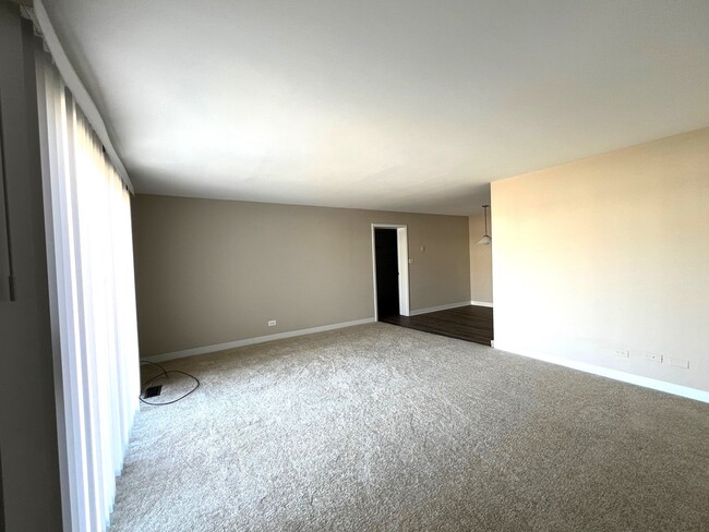 116 Cotuit Ct in Schaumburg, IL - Building Photo - Building Photo