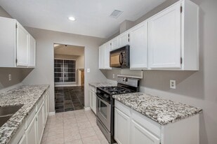 17002 Sky Blue Pl in Houston, TX - Building Photo