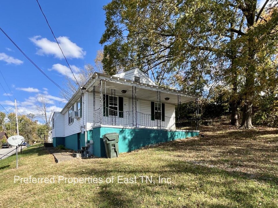 314 Leonard St in Greeneville, TN - Building Photo