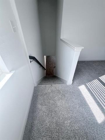 733 Santa Lucia Dr in Anna, TX - Building Photo - Building Photo