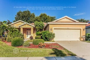 11432 Laurel Brook Ct in Riverview, FL - Building Photo