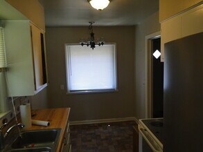 1323 S Leadville Ave in Boise, ID - Building Photo - Building Photo