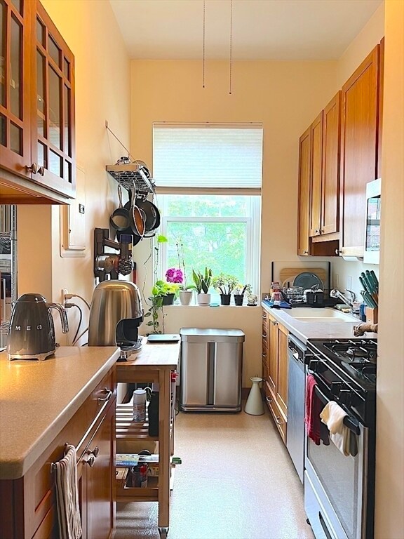 371 Harvard St in Cambridge, MA - Foto de edificio - Building Photo