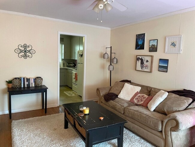 18-20 Milledge Ct in Athens, GA - Building Photo - Building Photo