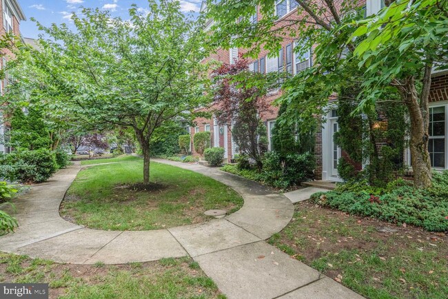 13502 Stargazer Ter in Centreville, VA - Building Photo - Building Photo