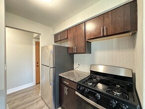 533 W Surf St in Chicago, IL - Building Photo - Building Photo