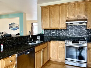 1120 Bartholdi Ct in Carol Stream, IL - Foto de edificio - Building Photo